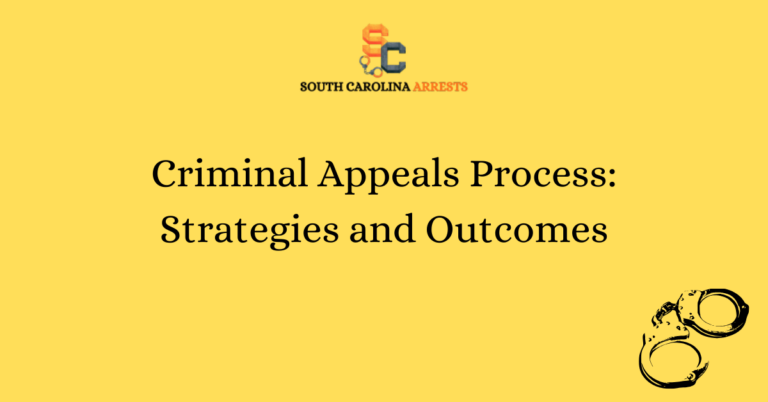 Criminal Appeals Process: Strategies and Outcomes