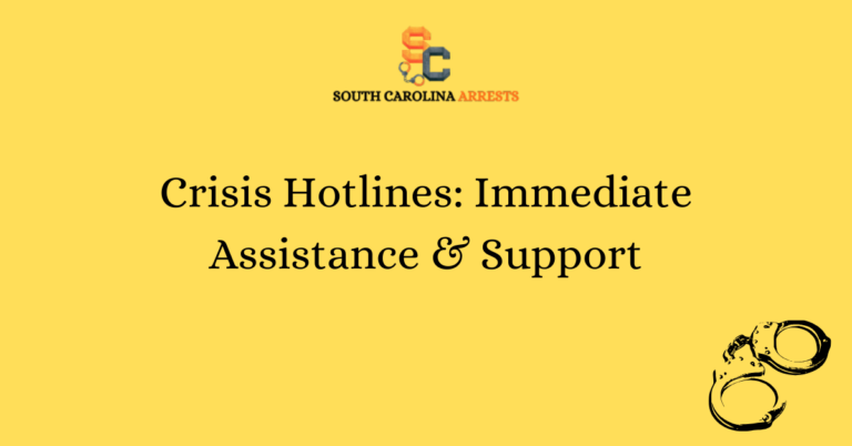 Crisis Hotlines Immediate Assistance Support