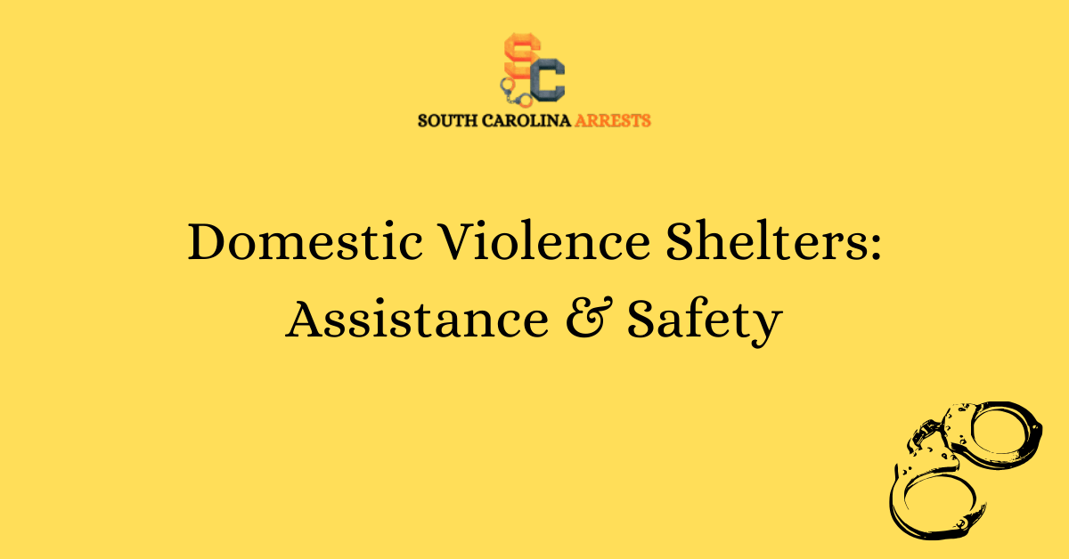 Domestic Violence Shelters Assistance Safety