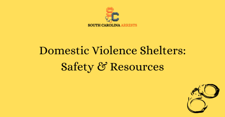 Domestic Violence Shelters Safety Resources