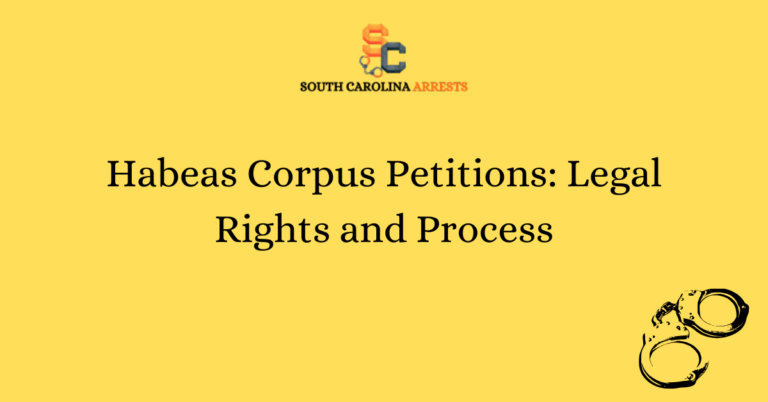 Habeas Corpus Petitions: Legal Rights and Process