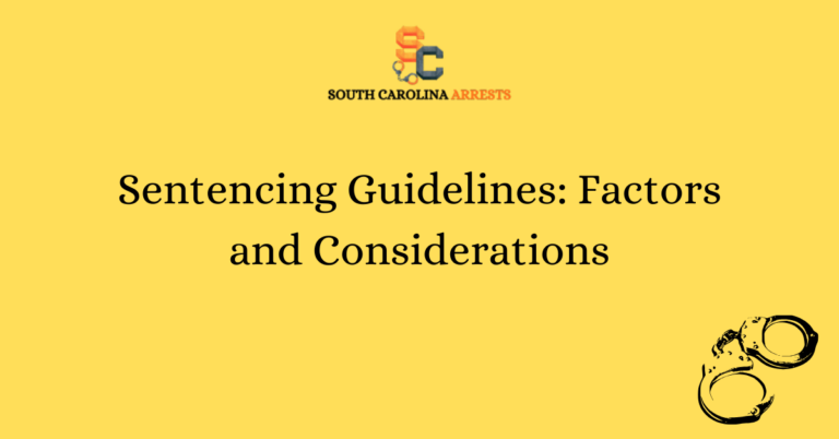 Sentencing Guidelines Factors and Considerations